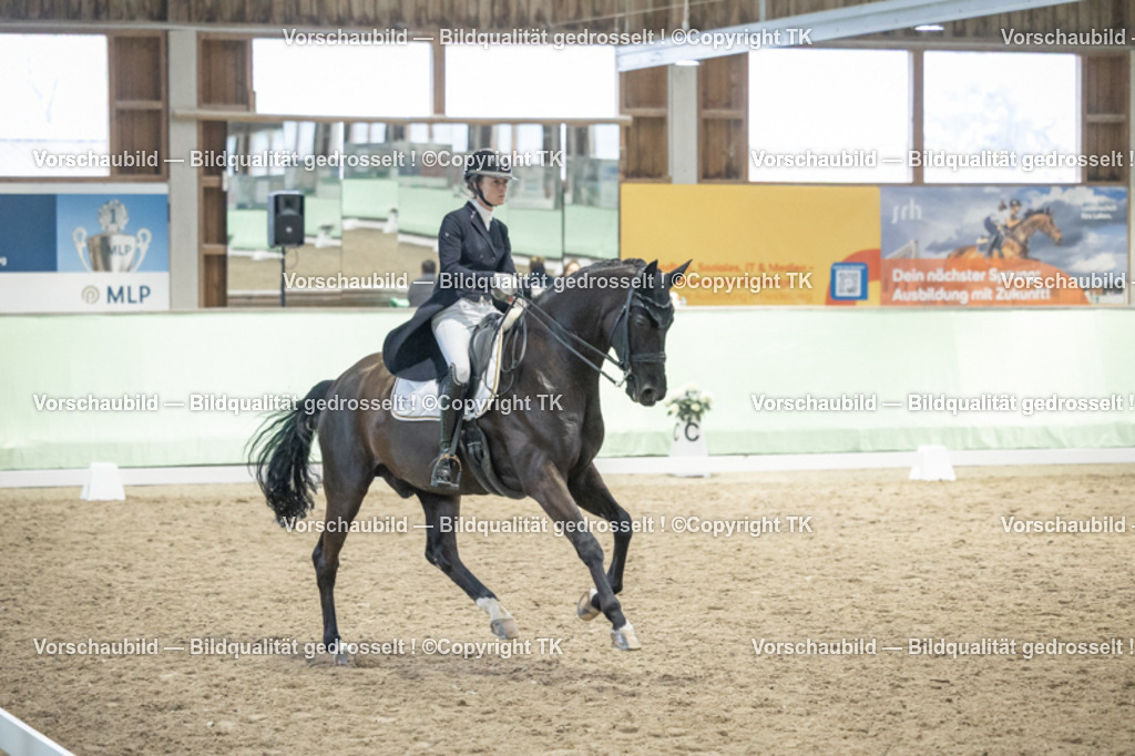 _D5A6989 | Emotionale Pferde- & People-Fotografie rund um Heidelberg, Leimen & Umgebung. Natürliche Fotos von Pferd, Mensch & Familie. Jetzt Termin sichern!