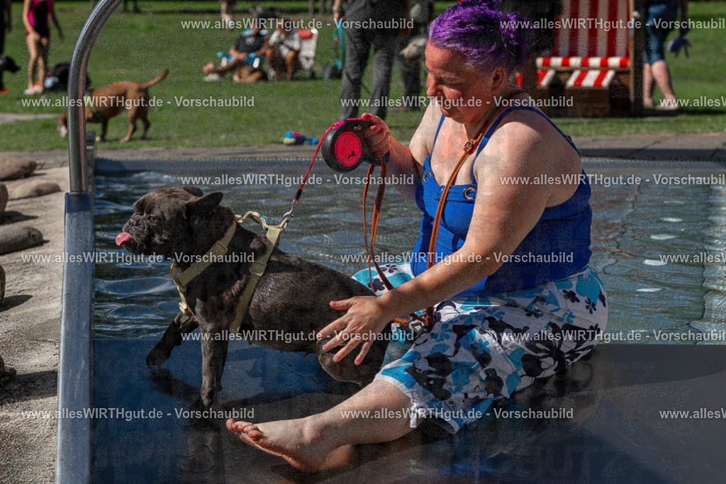 Hundeschwimmen_Volksbad_2026-allesWIRTHgut_Tierfotografie-2609061312-FAY06688 | Professionelle Tierfotografie in Mönchengladbach von Daniel Wirth (allesWIRTHgut). Liebevolle & natürliche Bilder von Hunden & Katzen für unvergessliche Erinnerungen.