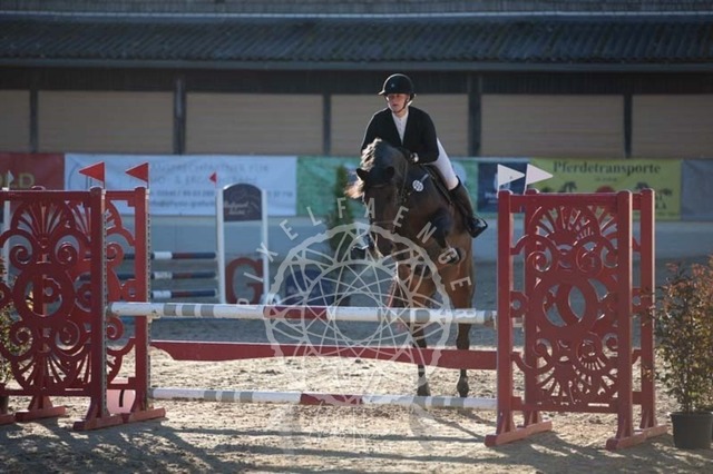 2B4A0031 | pixelfaenger - Realisiert mit Pictrs.com