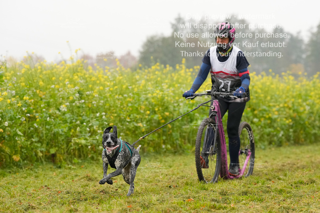 Visbeck_Sa_Scooter_Hc-111 | stephaniefillaphotographie - Realisiert mit Pictrs.com