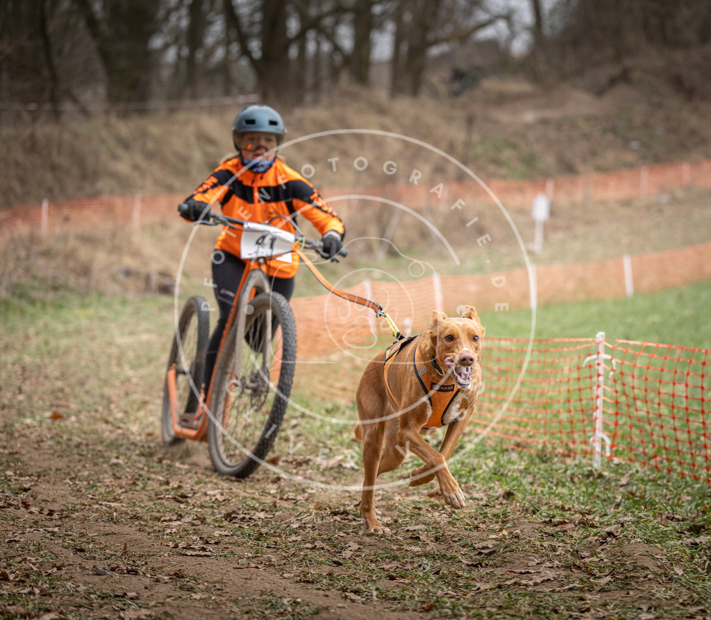 Pfotenfotografie_DV3A6564 | Hundefotografie, Tierfotograf, Pfotenfotografie, Fotoshooting Hund, Hunde Portrait, Hundesport, Hundeportraits, Heideshooting, Hunde, Sportfotograf, Hundefotograf, Turnierhundsport, THS,  - Realisiert mit Pictrs.com