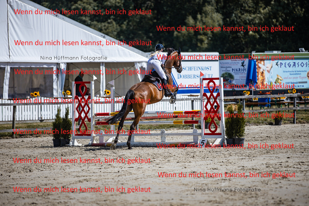 BK1A5209 | Turnierbilder Turnierfotos Nina Hüffmann Turnierfotografie Pferdefotografie Tierzeichnung Haustierzeichnung Pferdezeichnung Hundezeichnung Videograf  - Realisiert mit Pictrs.com