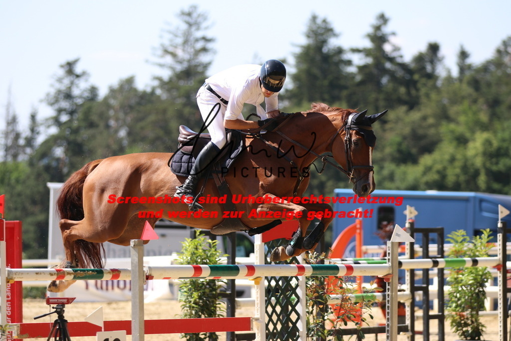 IMG_2945 | lmwpictures - Realisiert mit Pictrs.com