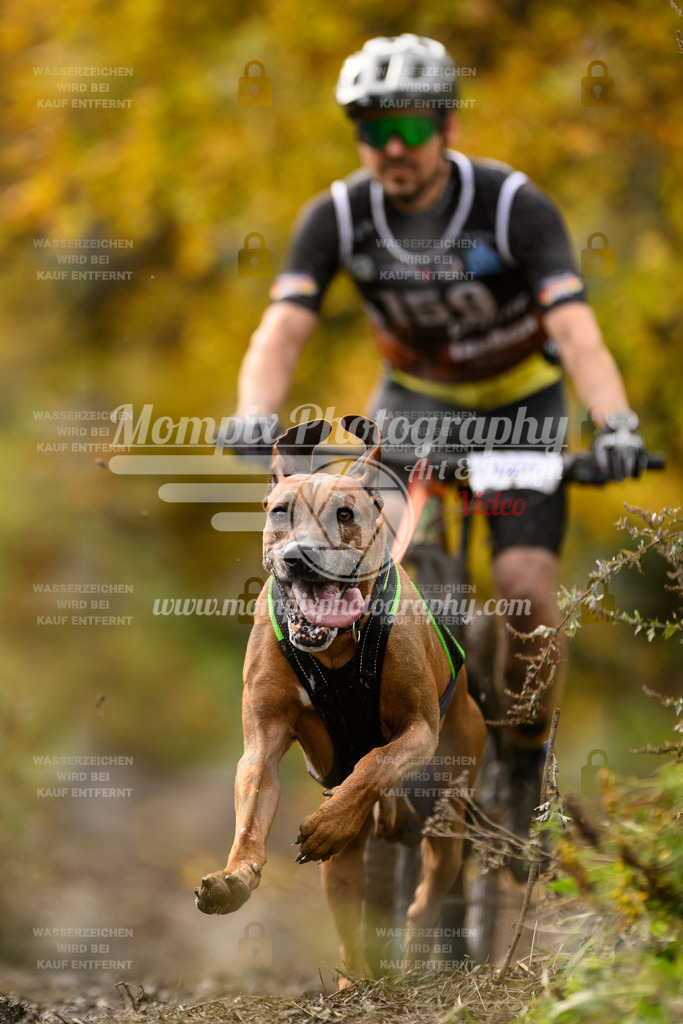 MompixPhotography_ICF_WC_2024_SA_Bike_-206 | PayLife