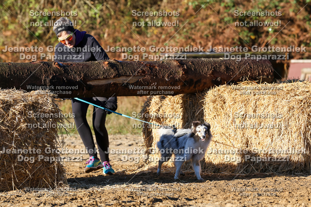 Dog Paparazzi - Strongdog 10-25-1200 | Dog Paparazzi Jeanette Grottendiek Fotografie & Videografie - Realisiert mit Pictrs.com