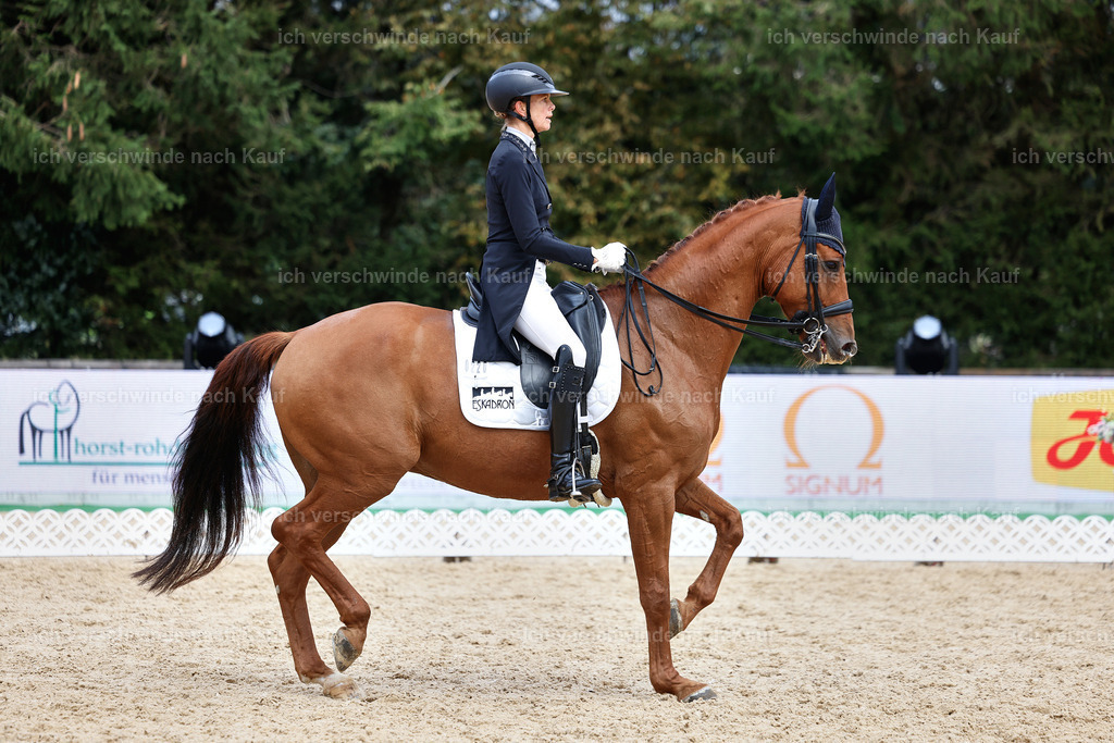 12-220-DRESSUR  S___  -StoibPH-5319 | working equitationturnier fotograf videograf stoibphotography marixx film working equitation deutschland reitsport turnierfotografie eventfotografie equestrian events