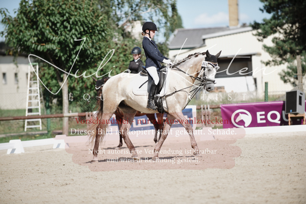 DSC_9935 | Pferde- und Turnierfotografie in Westsachsen. Pferdeportraits, Auftragszeichnungen und intuitive Kunst.
