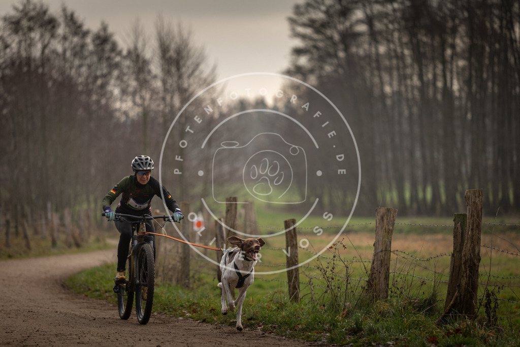 Pfotenfotografie_DV3A1801 | Hundefotografie, Tierfotograf, Pfotenfotografie, Fotoshooting Hund, Hunde Portrait, Hundesport, Hundeportraits, Heideshooting, Hunde, Sportfotograf, Hundefotograf, Turnierhundsport, THS,  - Realisiert mit Pictrs.com