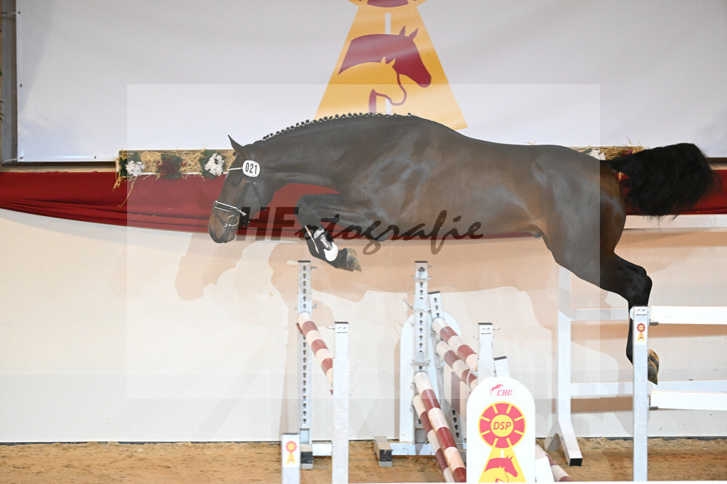 Kat-Nr. 21 Douglas VDL_VDL Stud_1230881 | hf-fotografie - Realisiert mit Pictrs.com