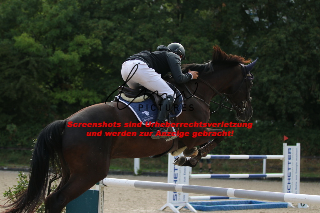 IMG_8665 | lmwpictures - Realisiert mit Pictrs.com