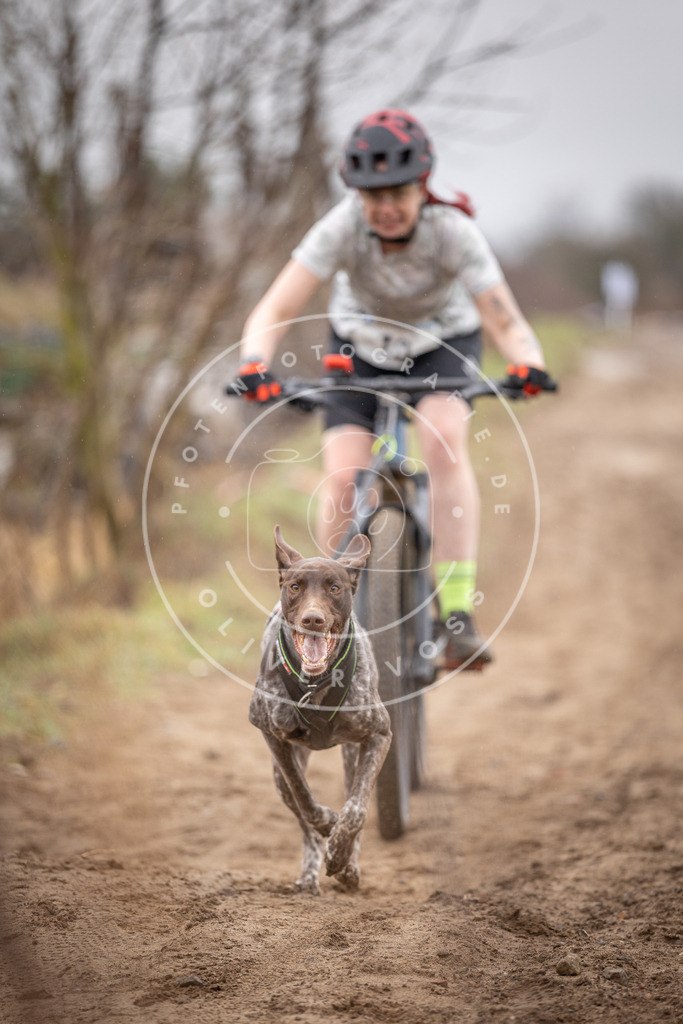 DV3A8925 | Hundefotografie, Tierfotograf, Pfotenfotografie, Fotoshooting Hund, Hunde Portrait, Hundesport, Hundeportraits, Heideshooting, Hunde, Sportfotograf, Hundefotograf, Turnierhundsport, THS,  - Realisiert mit Pictrs.com