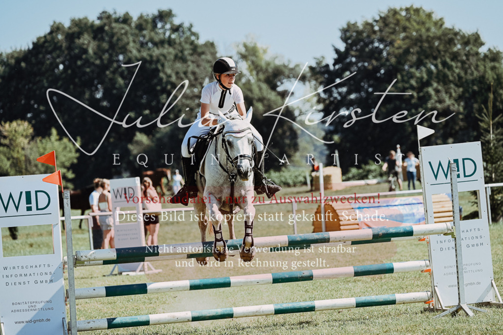 DSC_6073 | Pferde- und Turnierfotografie in Westsachsen. Pferdeportraits, Auftragszeichnungen und intuitive Kunst.