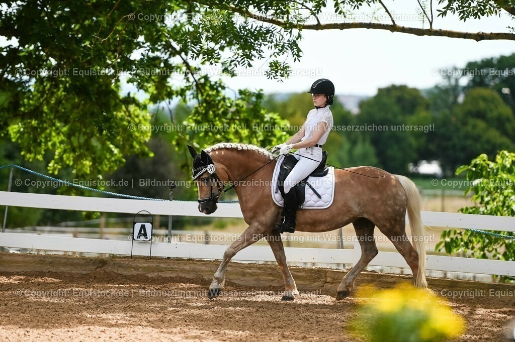 20230715_05_Dressurprüfung Kl.A++_0057 | equistock
