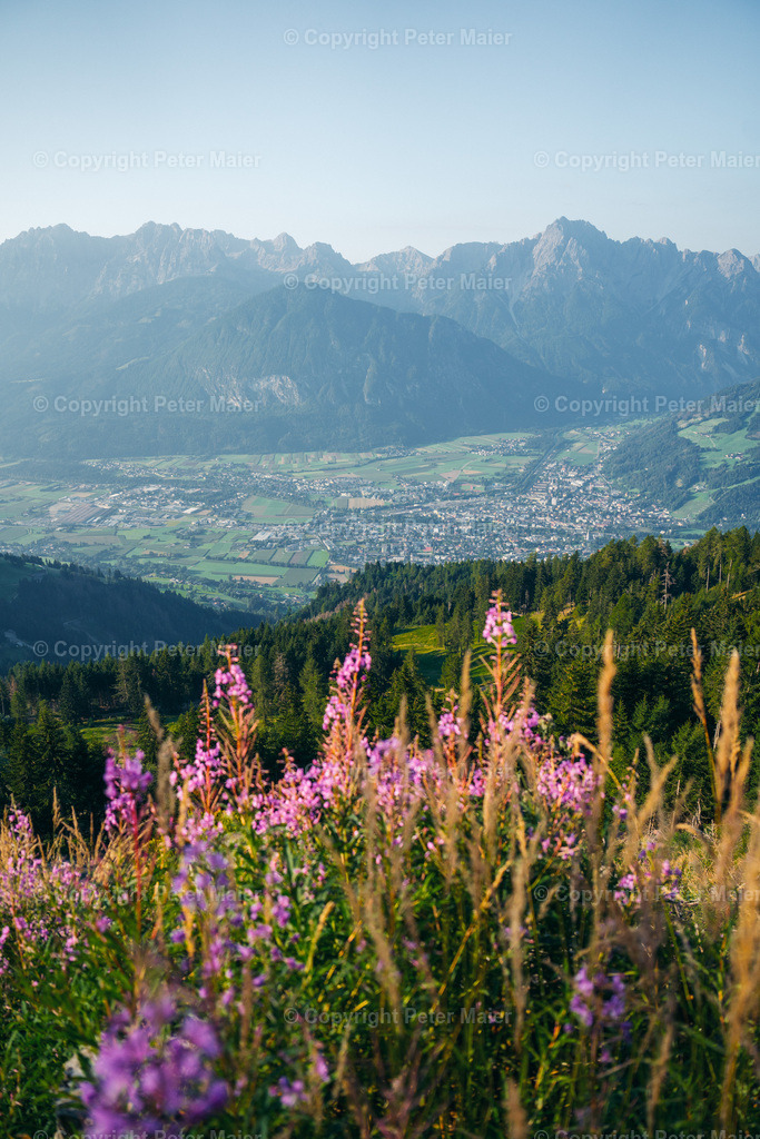 Zettersfeld_23-237 | piet_flosse