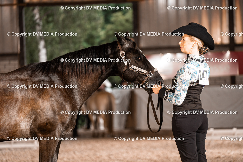 ZH200201 | dv-media-shop - Realisiert mit Pictrs.com