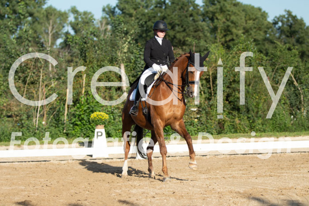 IMG_5908 | Creatify Fotografie