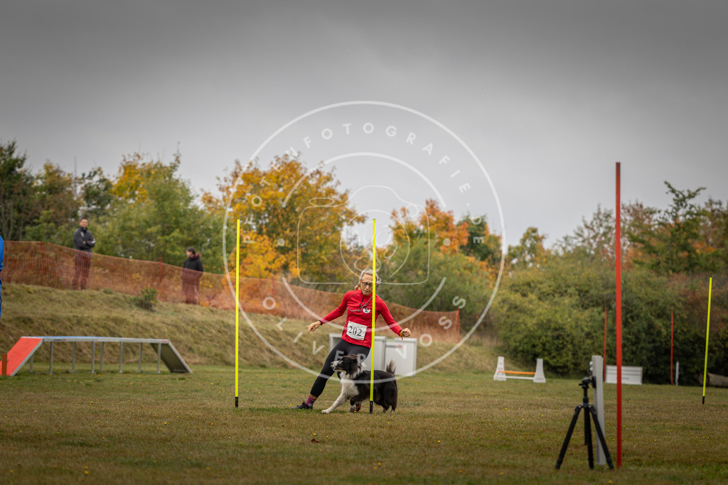 Pfotenfotografie_DV3A1983 | Hundefotografie, Tierfotograf, Pfotenfotografie, Fotoshooting Hund, Hunde Portrait, Hundesport, Hundeportraits, Heideshooting, Hunde, Sportfotograf, Hundefotograf, Turnierhundsport, THS,  - Realisiert mit Pictrs.com