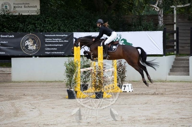 2B4A1570 | pixelfaenger - Realisiert mit Pictrs.com