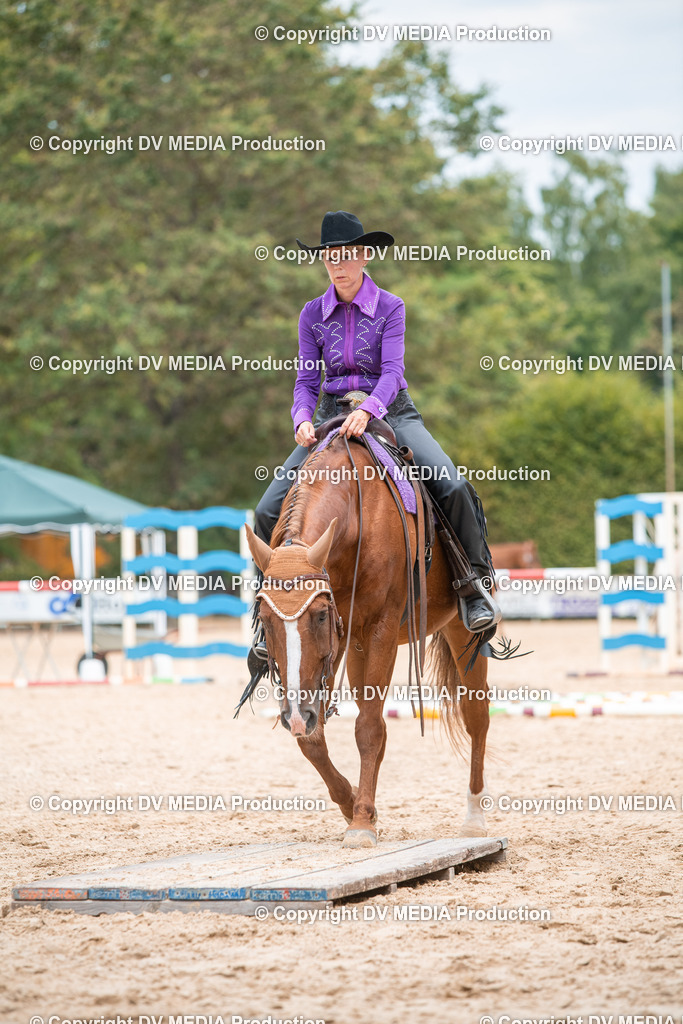 ZS2_8171 | dv-media-shop - Realisiert mit Pictrs.com