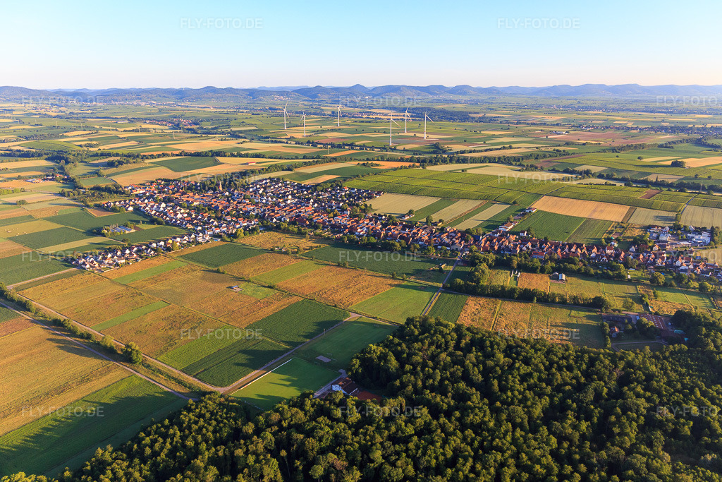 Luftbild: Ortsansicht von Südosten in Freckenfeld im Bundesland Rheinland-Pfalz in Deutschland. Foto: IMG_007781.jpg vom 21.06.2020 durch Werner Riehm/FLY-FOTO.de