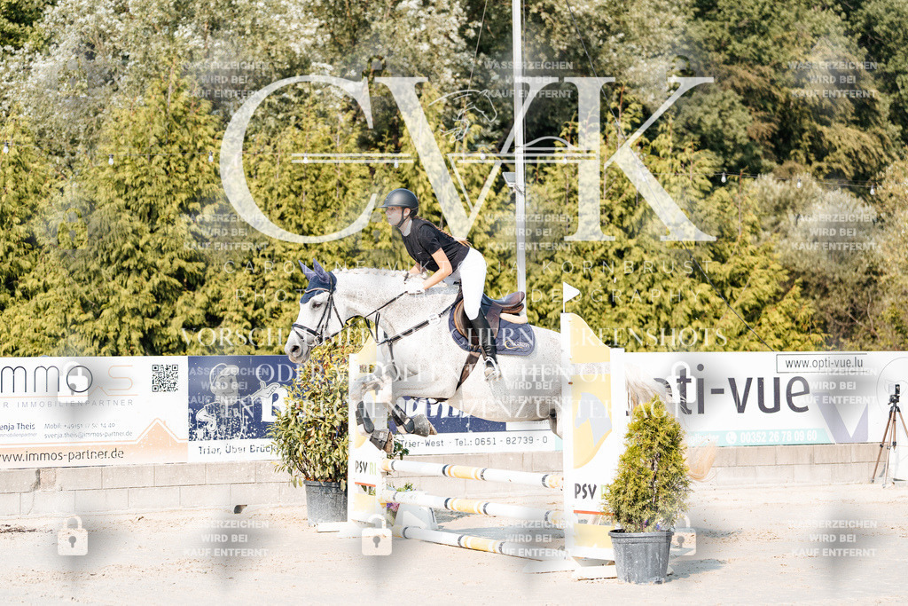 CK902682 | Turnierfotografie Pferdefotografie Trier Rheinland-Pfalz Pferdesport Reitsport Tierfotografie Sportfotografie Pferdevideo Pferdevideografie Equestrianvideography equestrianphotography  - Realisiert mit Pictrs.com