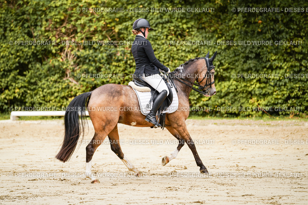 DSC02769 | Pferdegrafie