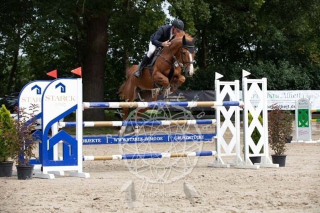 2B4A2500 | pixelfaenger - Realisiert mit Pictrs.com