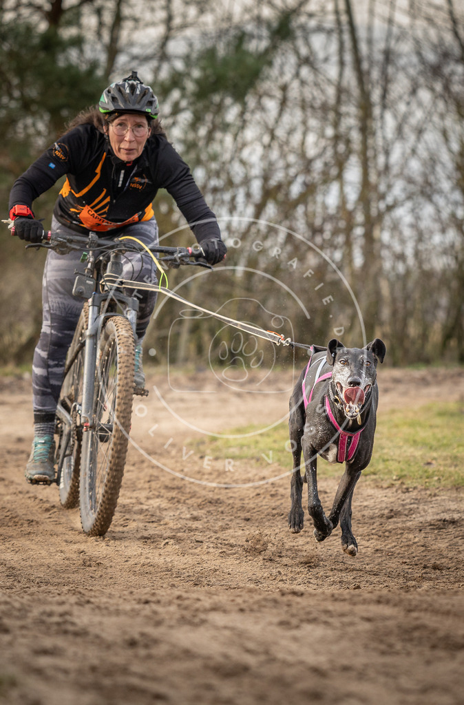 Pfotenfotografie_DV3A7799 | Hundefotografie, Tierfotograf, Pfotenfotografie, Fotoshooting Hund, Hunde Portrait, Hundesport, Hundeportraits, Heideshooting, Hunde, Sportfotograf, Hundefotograf, Turnierhundsport, THS,  - Realisiert mit Pictrs.com