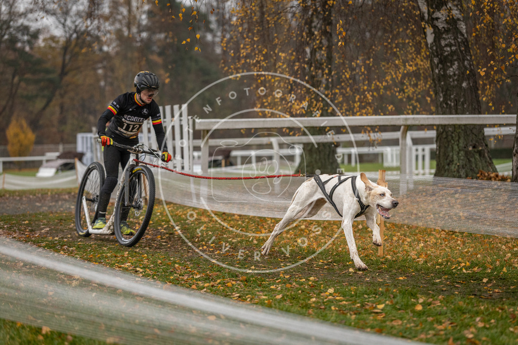 CaniXpix_DV3A7649 | Hundefotografie, Tierfotograf, Pfotenfotografie, Fotoshooting Hund, Hunde Portrait, Hundesport, Hundeportraits, Heideshooting, Hunde, Sportfotograf, Hundefotograf, Turnierhundsport, THS,  - Realisiert mit Pictrs.com
