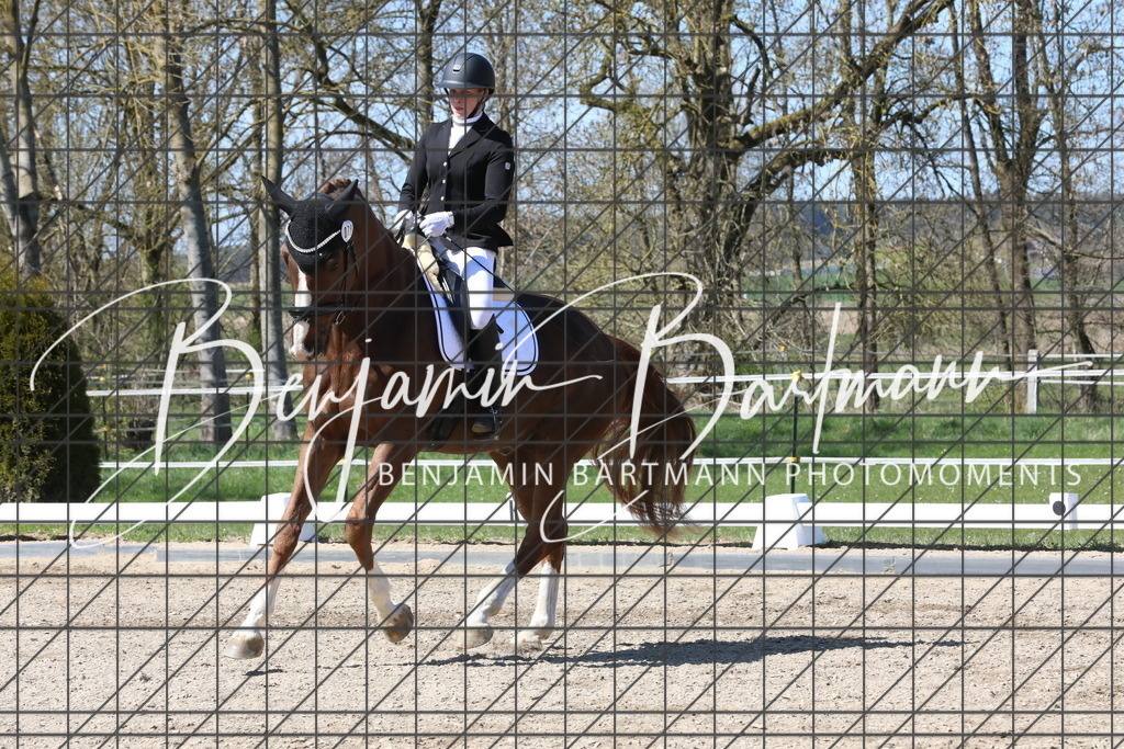 AZ2A4315 | Benjamin Bartmann Photomoments