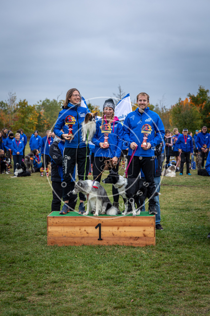 Pfotenfotografie_0L8A0714 | Hundefotografie, Tierfotograf, Pfotenfotografie, Fotoshooting Hund, Hunde Portrait, Hundesport, Hundeportraits, Heideshooting, Hunde, Sportfotograf, Hundefotograf, Turnierhundsport, THS,  - Realisiert mit Pictrs.com