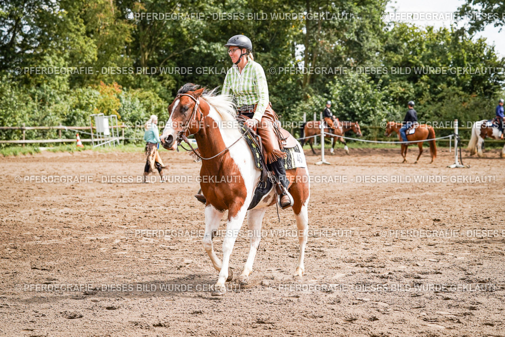 DSC07538 | Pferdegrafie