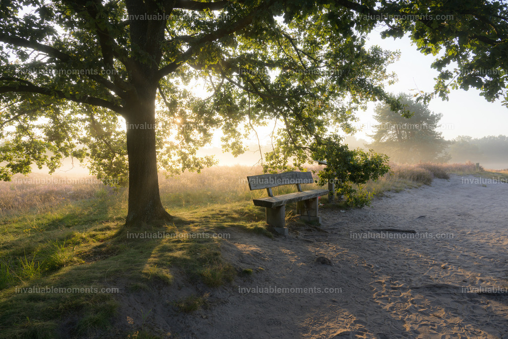 DSC_1136 | invaluablemoments.com - Realisiert mit Pictrs.com