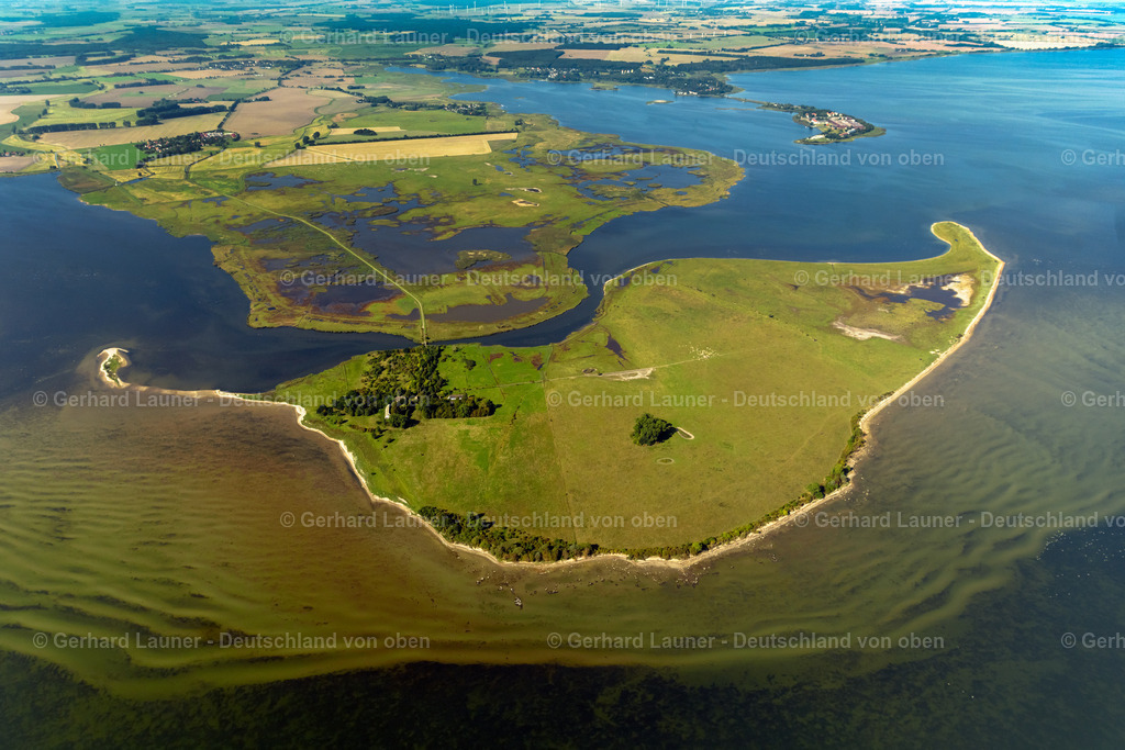 4061217 | GREIFSWALD 08.09.2021 Uferbereiche der See- Insel Koos und Naturschutzgebiet im Greifswalder Bodden in Greifswald im Bundesland Mecklenburg-Vorpommern, Deutschland. // Lake Island Koos and Naturschutzgebiet in Greifswalder Bodden in Greifswald in the state Mecklenburg - Western Pomerania, Germany. Foto: Gerhard Launer