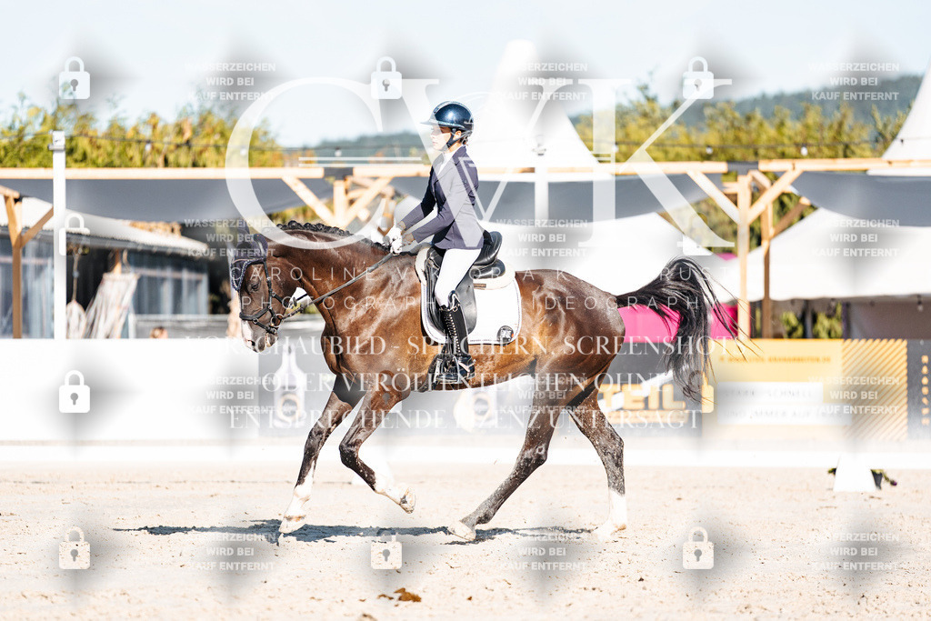 CK907442 | Turnierfotografie Pferdefotografie Trier Rheinland-Pfalz Pferdesport Reitsport Tierfotografie Sportfotografie Pferdevideo Pferdevideografie Equestrianvideography equestrianphotography  - Realisiert mit Pictrs.com