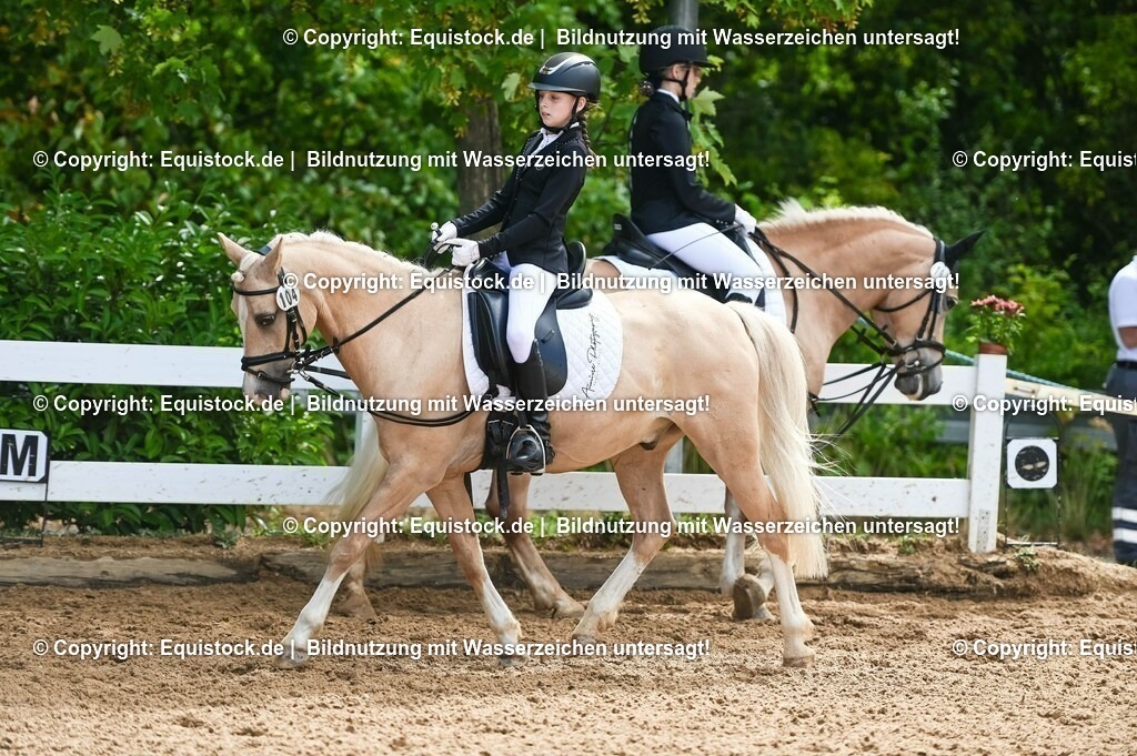 20230716_10-3_Reiter-WB Schritt - Trab - Galopp_0108 | equistock