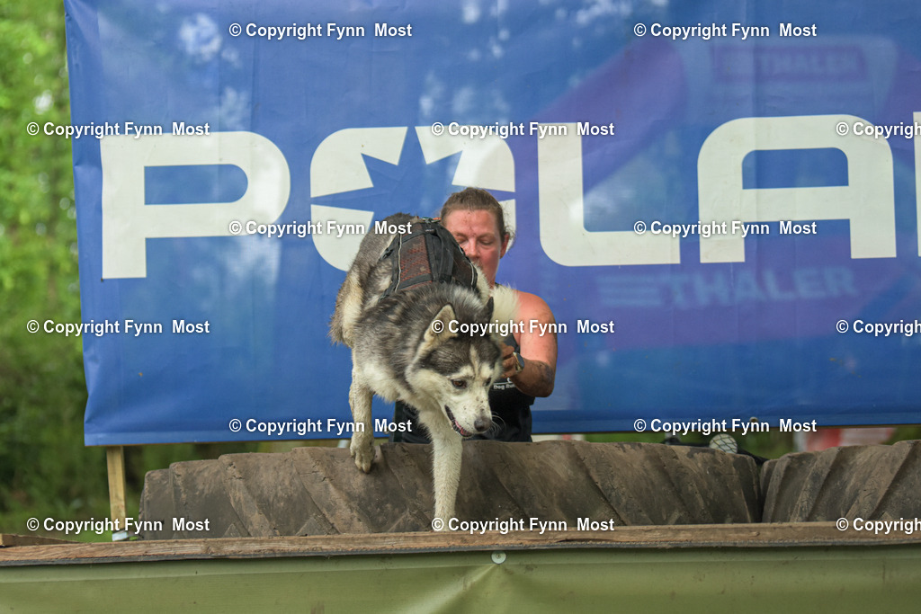 DSC_0111 | Hallo und herzlich Willkommen auf meiner Shop-Seite Fynn Most.

Ich wünsche Dir viel Spaß beim stöbern durch die Bilder, wenn Du Fragen hast oder Bilder vermisst, kannst du mir gerne eine Nachricht schreiben. - Realisiert mit Pictrs.com