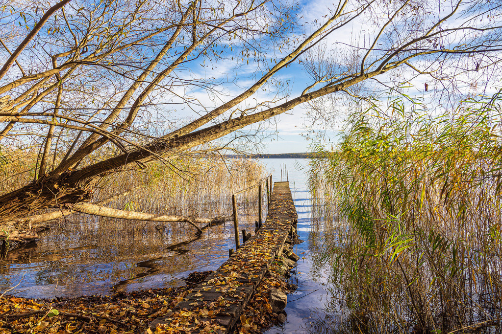 Steg und Baum am Plauer See in der Stadt Plau am See | Steg und Baum am Plauer See in der Stadt Plau am See.