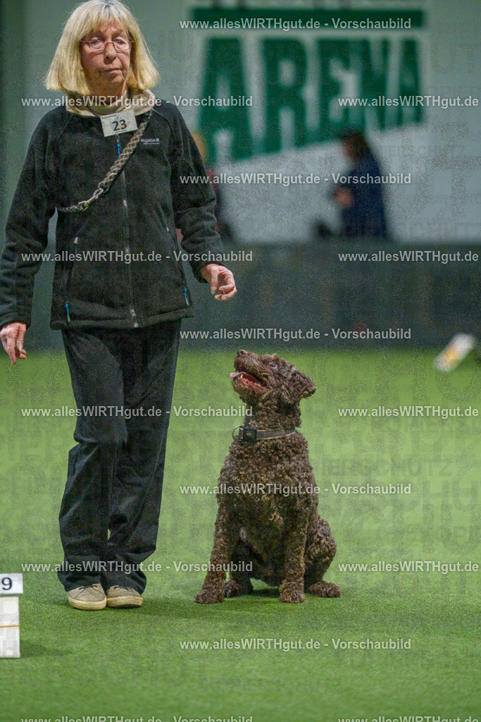 7R504914 | Professionelle Tierfotografie in Mönchengladbach von Daniel Wirth (allesWIRTHgut). Liebevolle & natürliche Bilder von Hunden & Katzen für unvergessliche Erinnerungen.