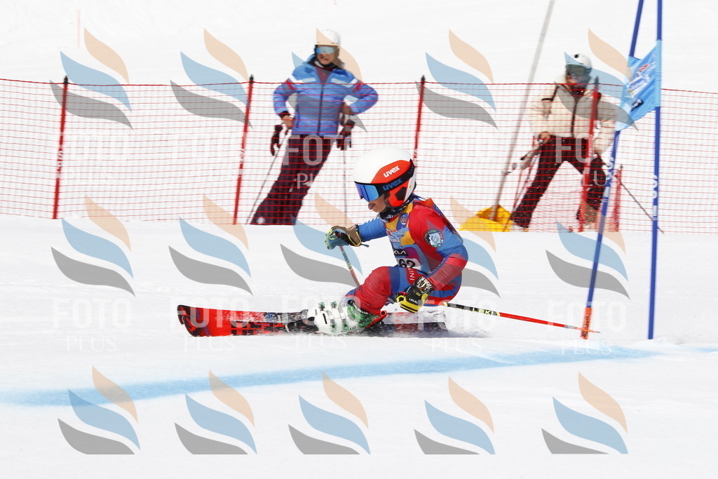 _U3G4375 | holidayphoto