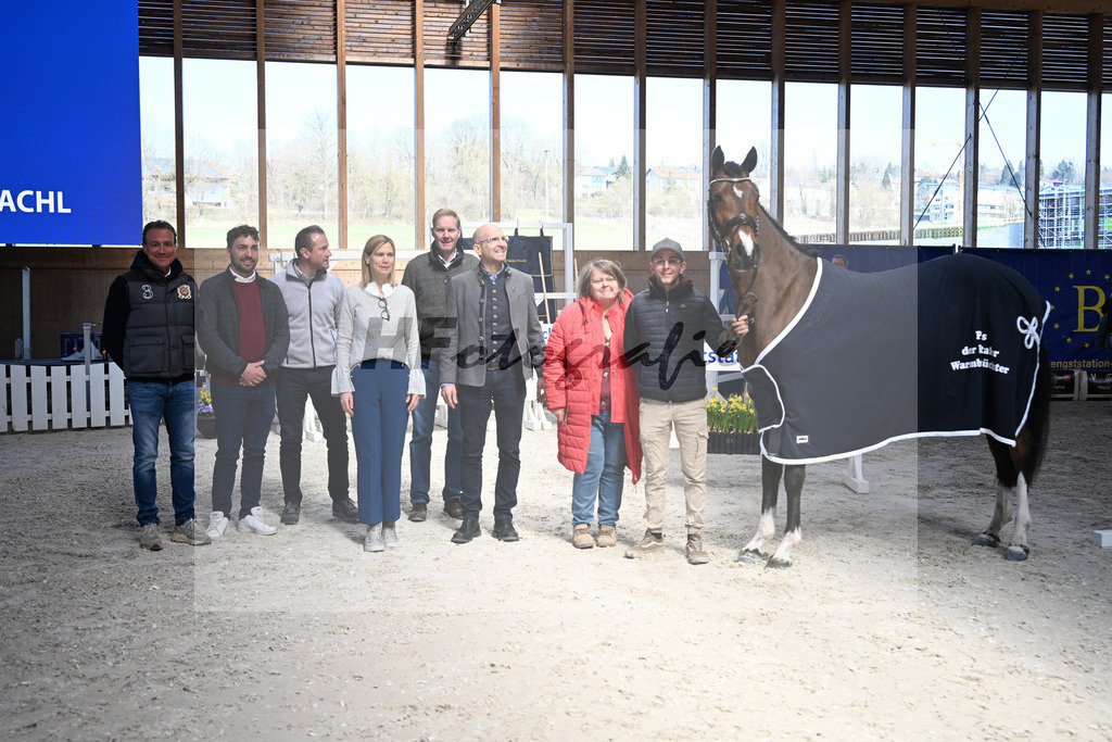 Kat-Nr. 43 Balous Lady v. Cornets Balou_Eder_14265145 | hf-fotografie - Realisiert mit Pictrs.com