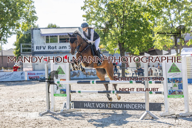 26-7-24 Amateur L-203 | mandyhollmannphotographie