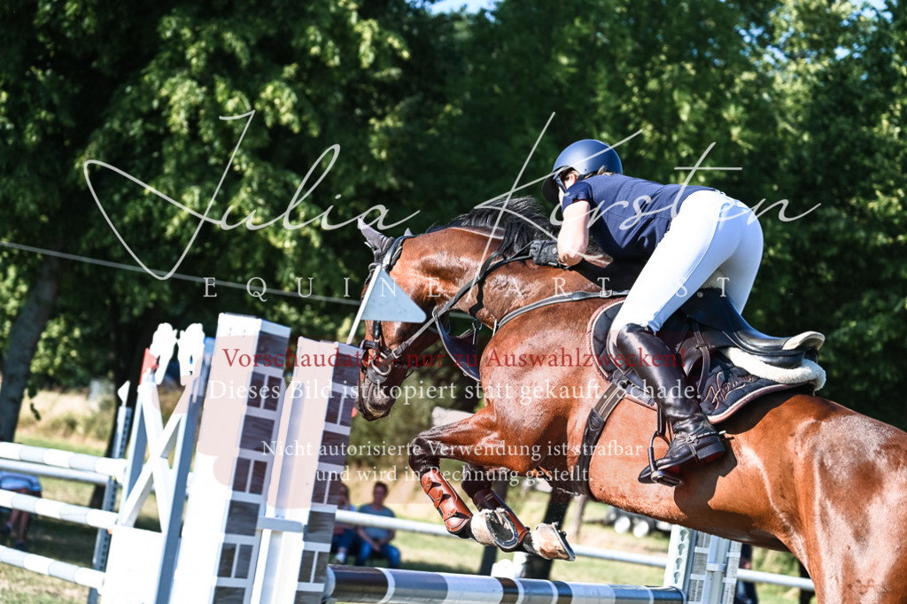 DSC_2972 | Pferde- und Turnierfotografie in Westsachsen. Pferdeportraits, Auftragszeichnungen und intuitive Kunst.