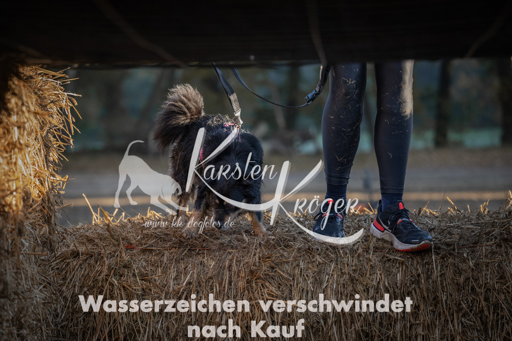 0936_ZZ93814 | kk-dogfotos