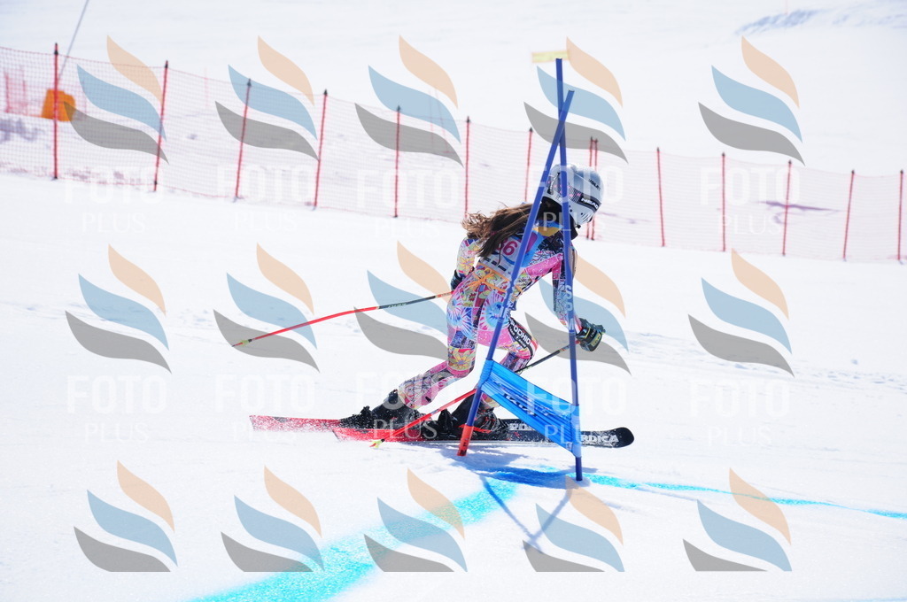 DSC_4007 | holidayphoto