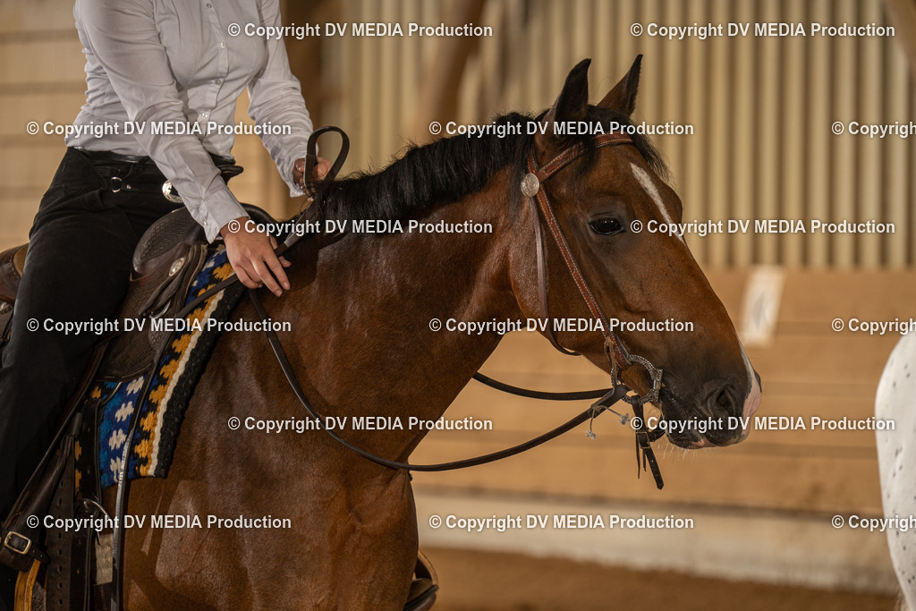 NID02835 | dv-media-shop - Realisiert mit Pictrs.com