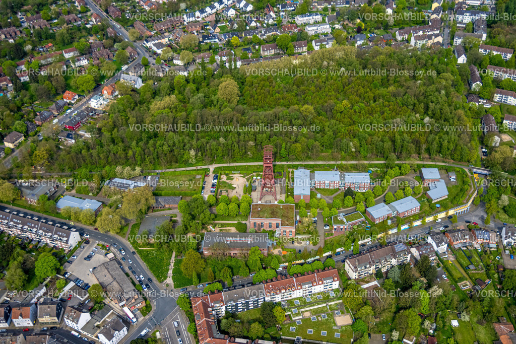 Essen240400303 | Luftbild, ehemalige Zeche Zollverein Schacht 3/7/10 Bergwerk mit Förderturm, Am Handwerkerpark, Katernberg, Essen, Ruhrgebiet, Nordrhein-Westfalen, Deutschland