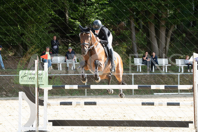 DSC07304 | Agrolens Media & Dienstleistungen - Realisiert mit Pictrs.com