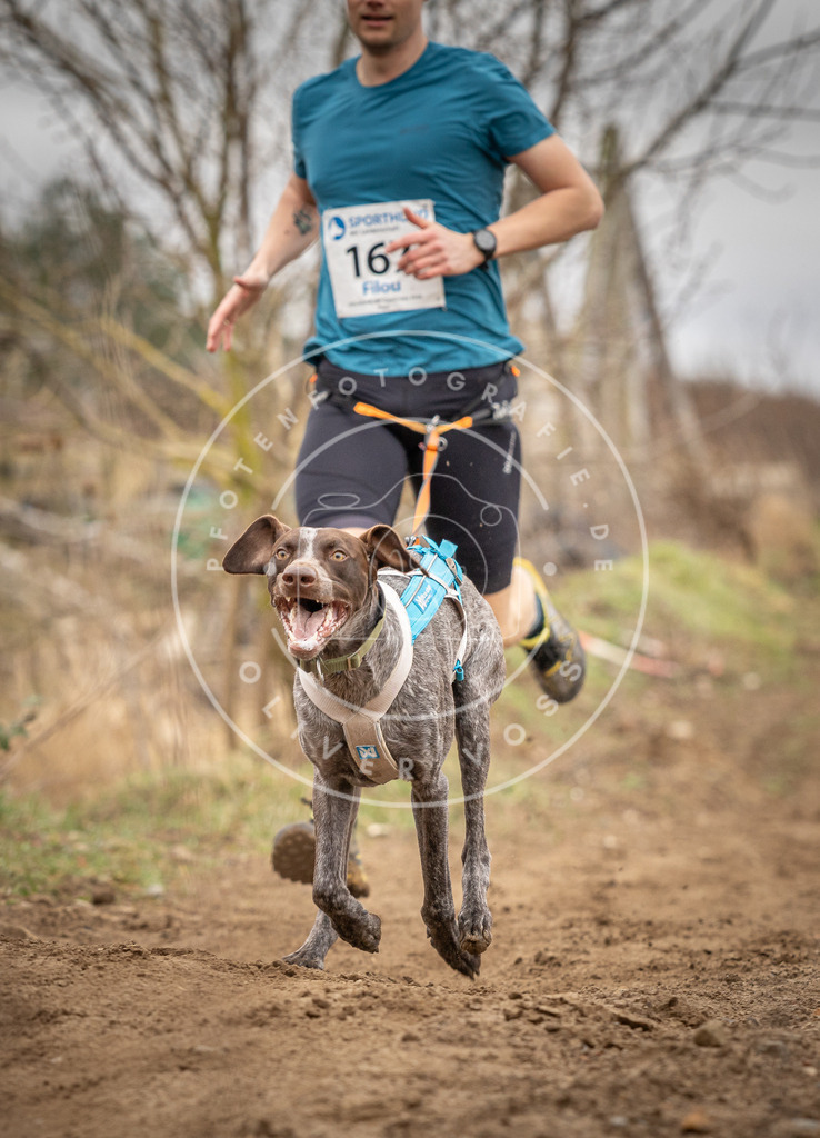DV3A1825 | Hundefotografie, Tierfotograf, Pfotenfotografie, Fotoshooting Hund, Hunde Portrait, Hundesport, Hundeportraits, Heideshooting, Hunde, Sportfotograf, Hundefotograf, Turnierhundsport, THS,  - Realisiert mit Pictrs.com