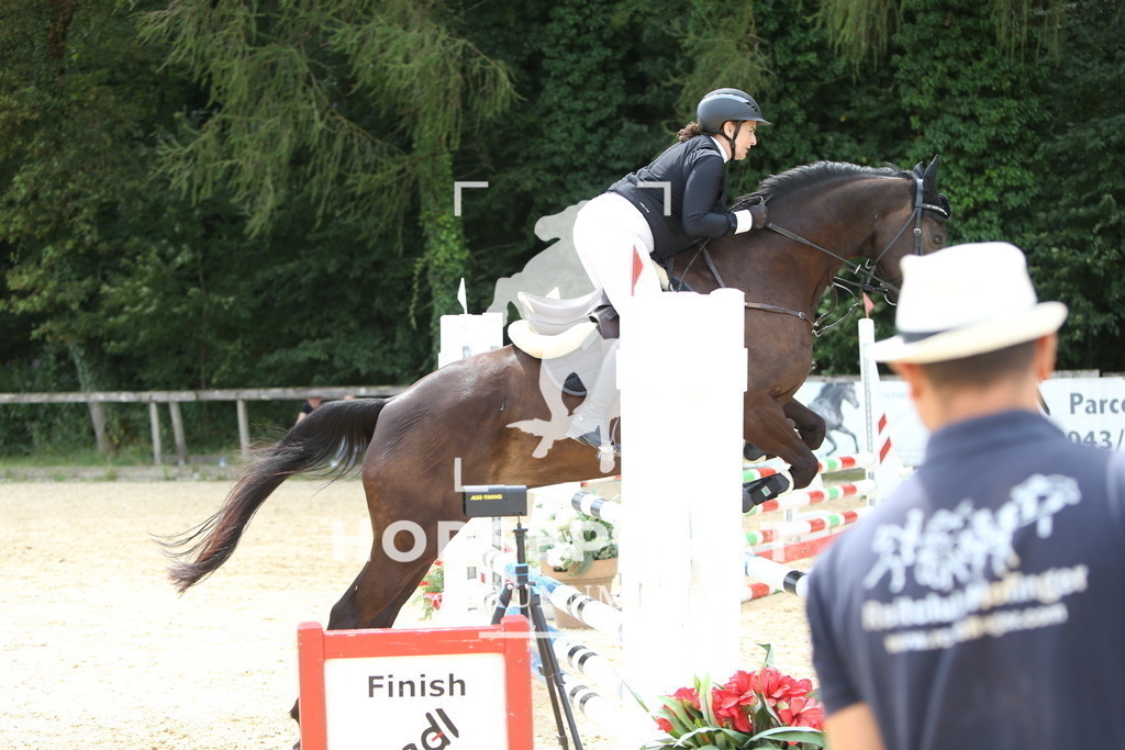 DL2Q0453 | Willkommen bei Brunnmayr - Design & Fotografie – Ihrem Spezialisten für Reitturniere und Pferdeveranstaltungen in Oberösterreich, Salzburg und Bayern! Seit über 17 Jahren sind wir leidenschaftlich dabei.